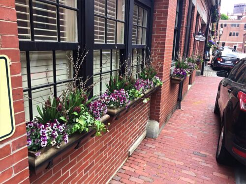 Landscape Design and Construction - Cambridge Landscape - Serving Greater Boston Metroplex - Suffolk County, MA