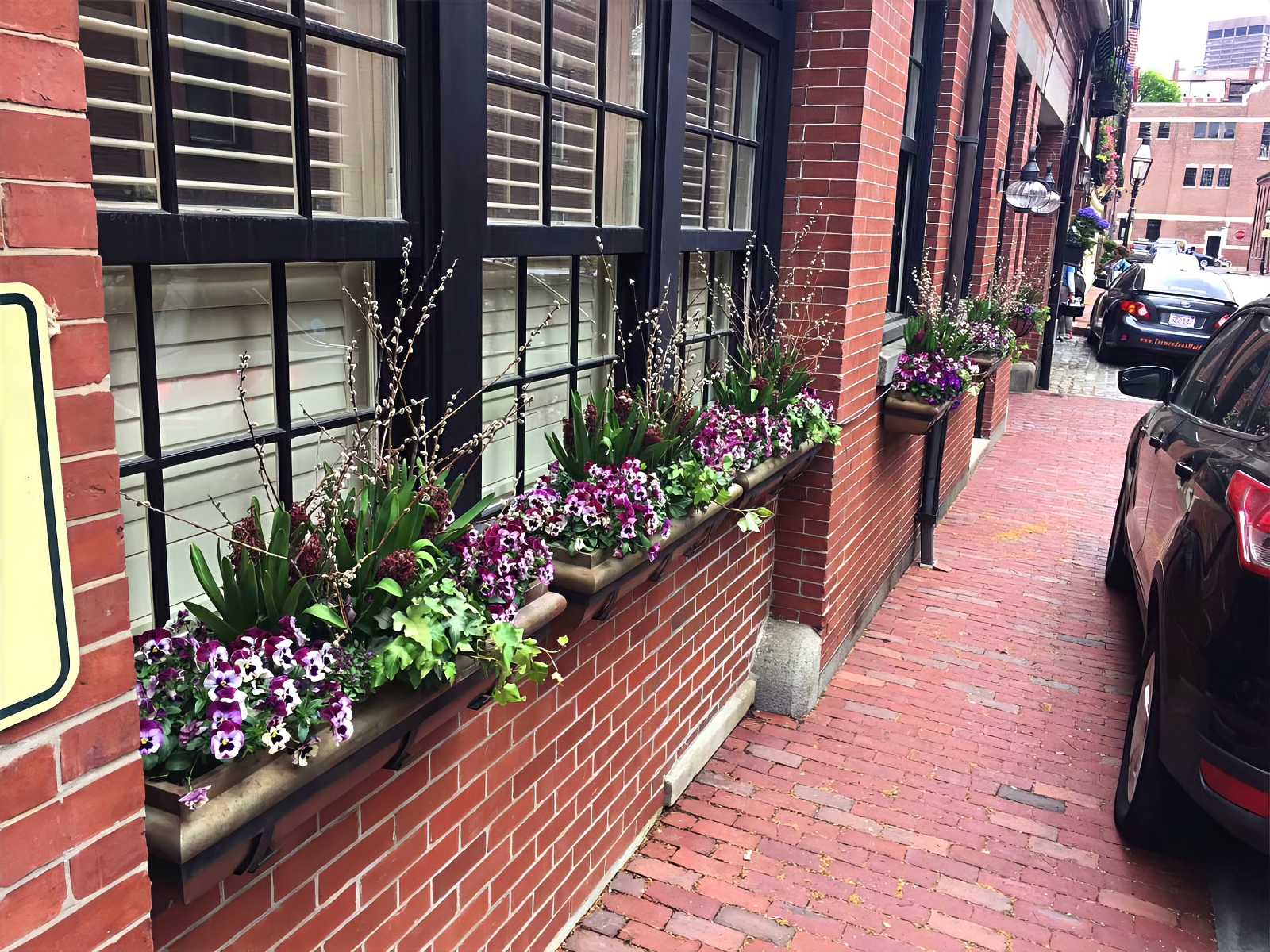 Landscape Design and Construction - Cambridge Landscape - Serving Greater Boston Metroplex - Suffolk County, MA