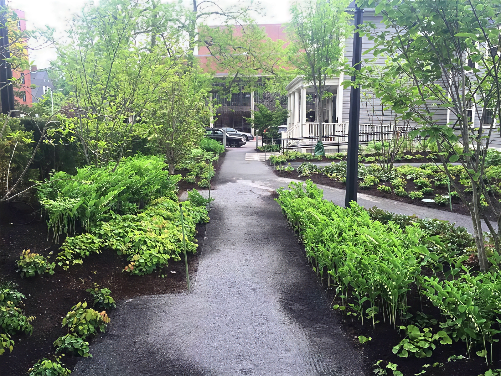 Landscape Design and Construction - Cambridge Landscape - Serving Greater Boston Metroplex - Suffolk County, MA