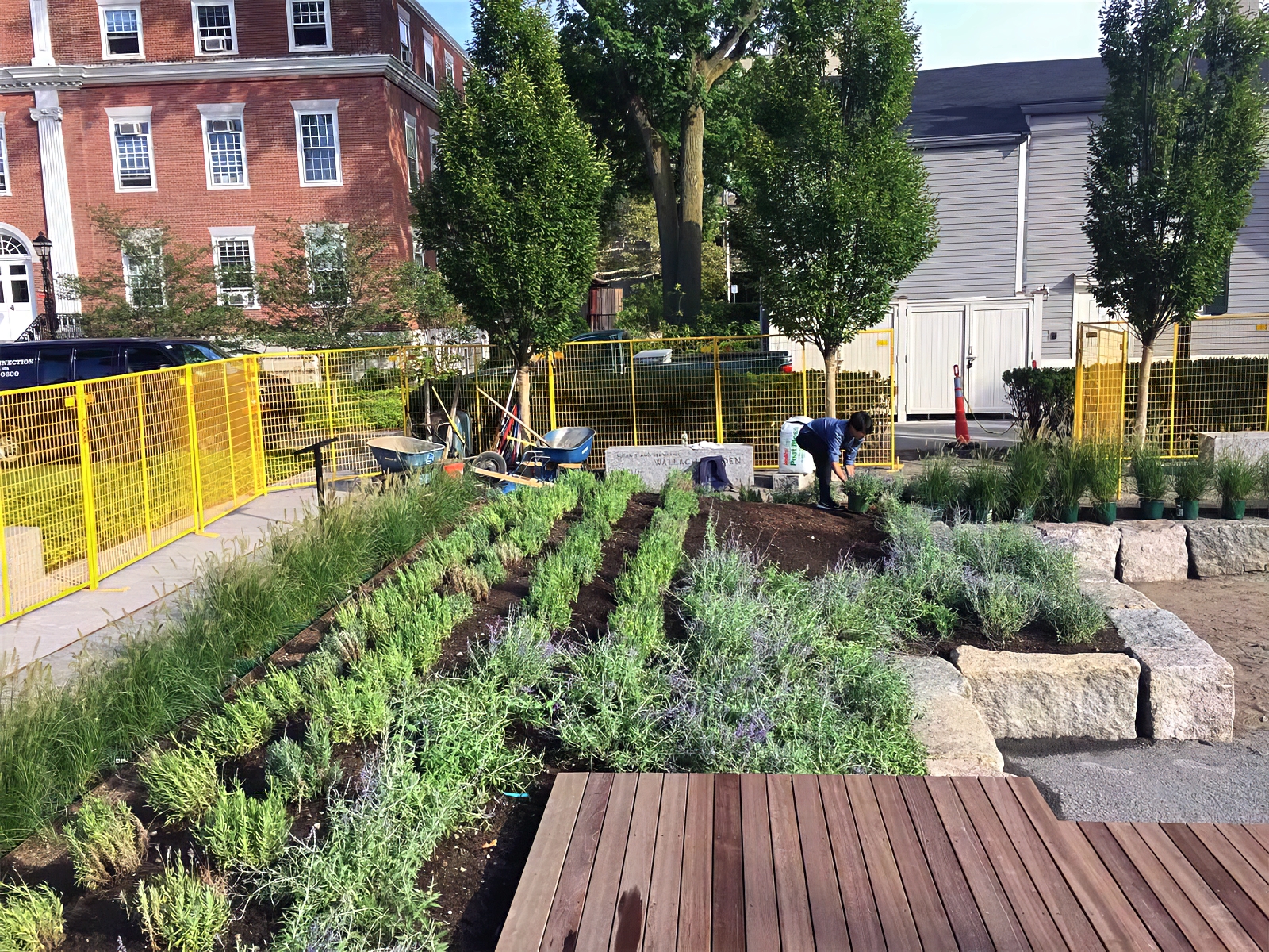Landscape Design and Construction - Cambridge Landscape - Serving Greater Boston Metroplex - Suffolk County, MA