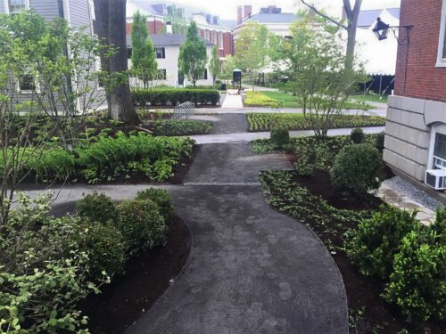 Landscape Design and Construction - Cambridge Landscape - Serving Greater Boston Metroplex - Suffolk County, MA