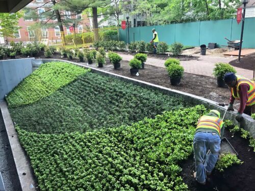 Landscape Design and Construction - Cambridge Landscape - Serving Greater Boston Metroplex - Suffolk County, MA