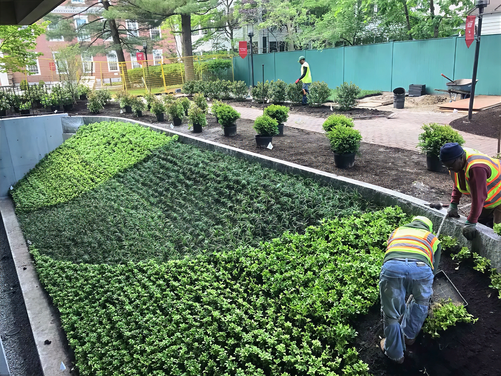 Landscape Maintenance - Treasure Valley Landscape, Idaho