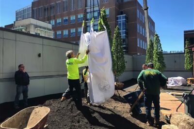 Landscape Design and Construction - Cambridge Landscape - Serving Greater Boston Metroplex - Suffolk County, MA