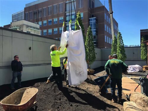 Landscape Design and Construction - Cambridge Landscape - Serving Greater Boston Metroplex - Suffolk County, MA