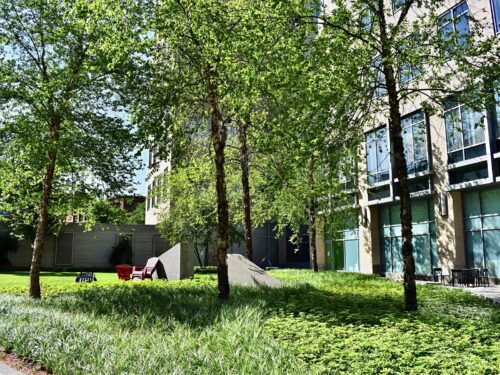 Landscape Design and Construction - Cambridge Landscape - Serving Greater Boston Metroplex - Suffolk County, MA