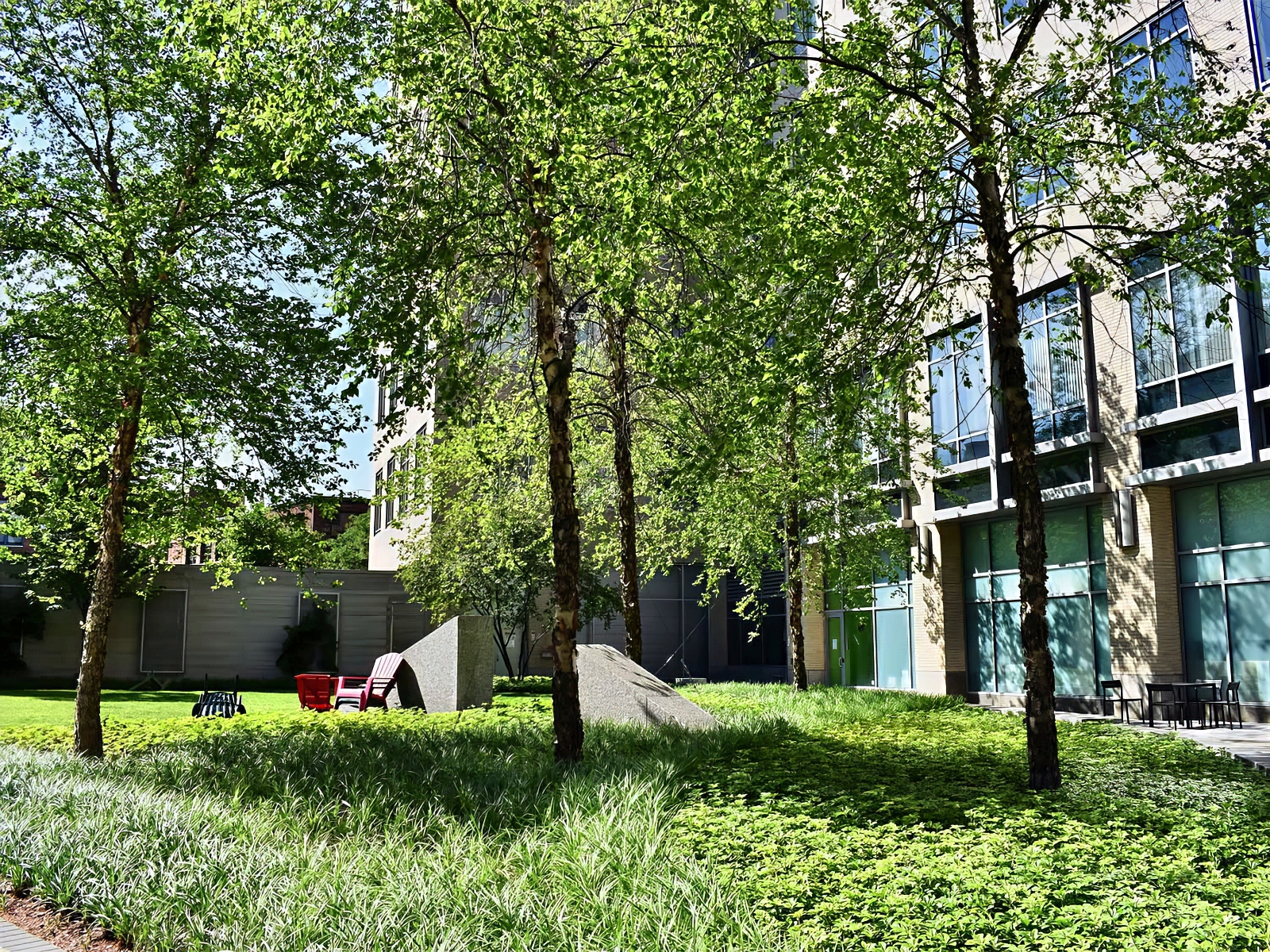 Landscape Design and Construction - Cambridge Landscape - Serving Greater Boston Metroplex - Suffolk County, MA