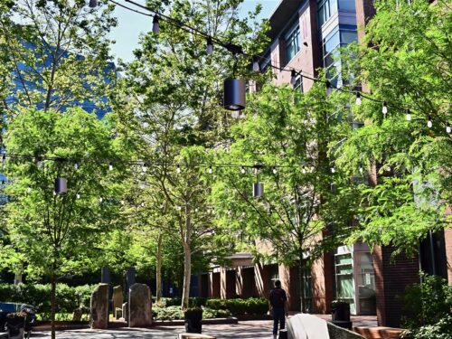 Landscape Design and Construction - Cambridge Landscape - Serving Greater Boston Metroplex - Suffolk County, MA