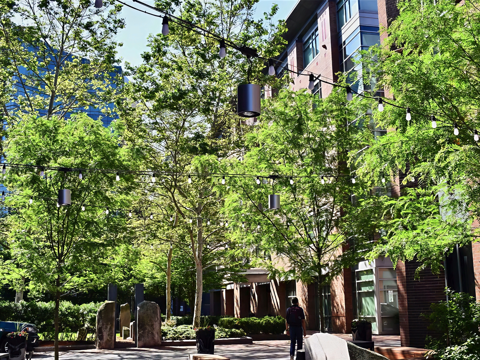 Landscape Design and Construction - Cambridge Landscape - Serving Greater Boston Metroplex - Suffolk County, MA