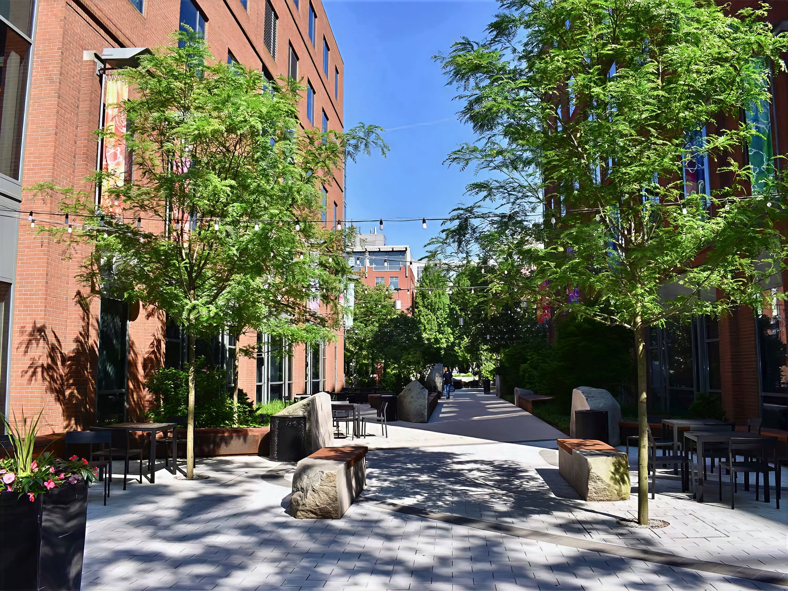 Landscape Design and Construction - Cambridge Landscape - Serving Greater Boston Metroplex - Suffolk County, MA