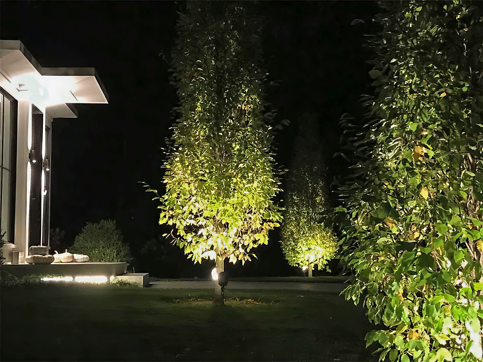 Tree Service - Treasure Valley Landscape