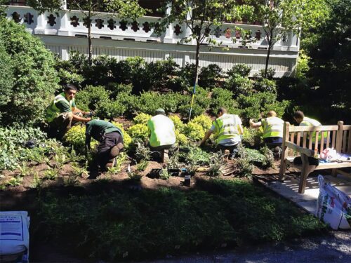 Landscape Design and Construction - Cambridge Landscape - Serving Greater Boston Metroplex - Suffolk County, MA