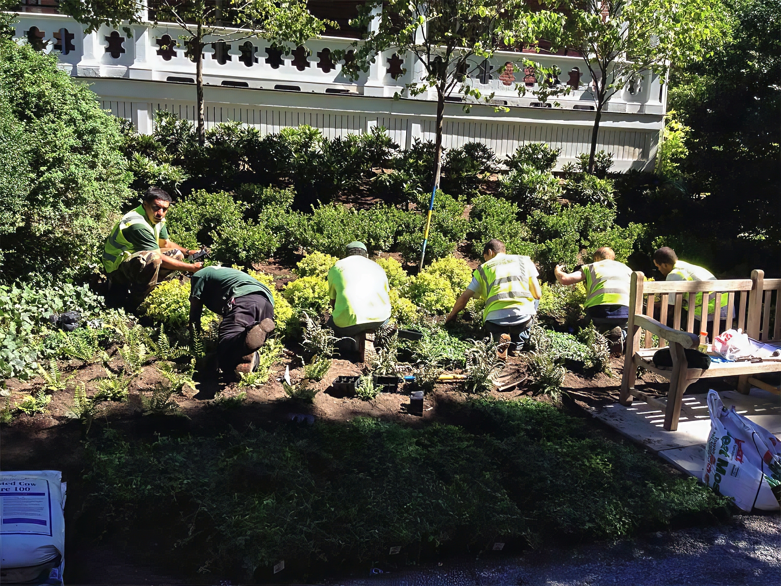 Landscape Design and Construction - Cambridge Landscape Co - Serving the Greater Boston Metroplex - Suffolk County, MA