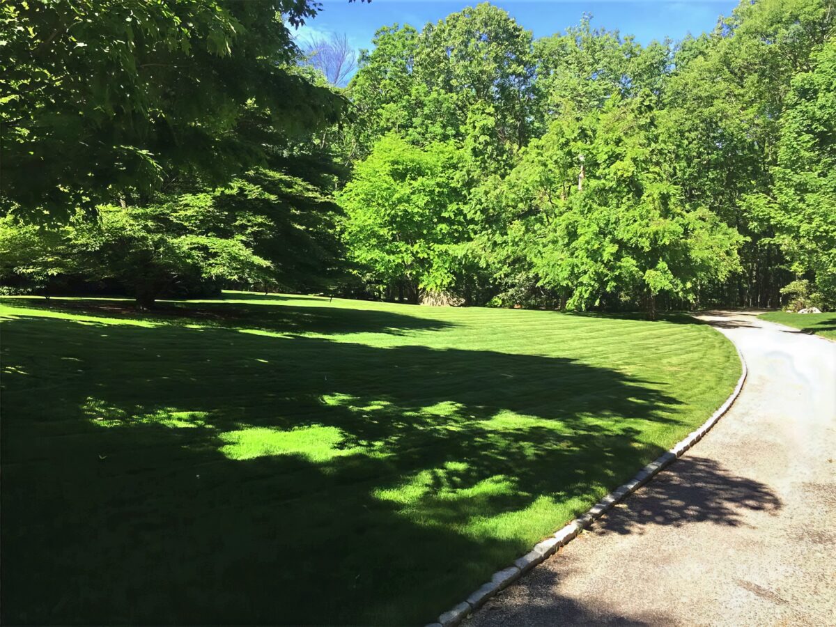 Landscape Maintenance - Cambridge Landscape
