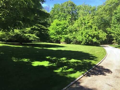 Landscape Maintenance - Cambridge Landscape. - Greater Boston Metroplex - Suffolk County, MA