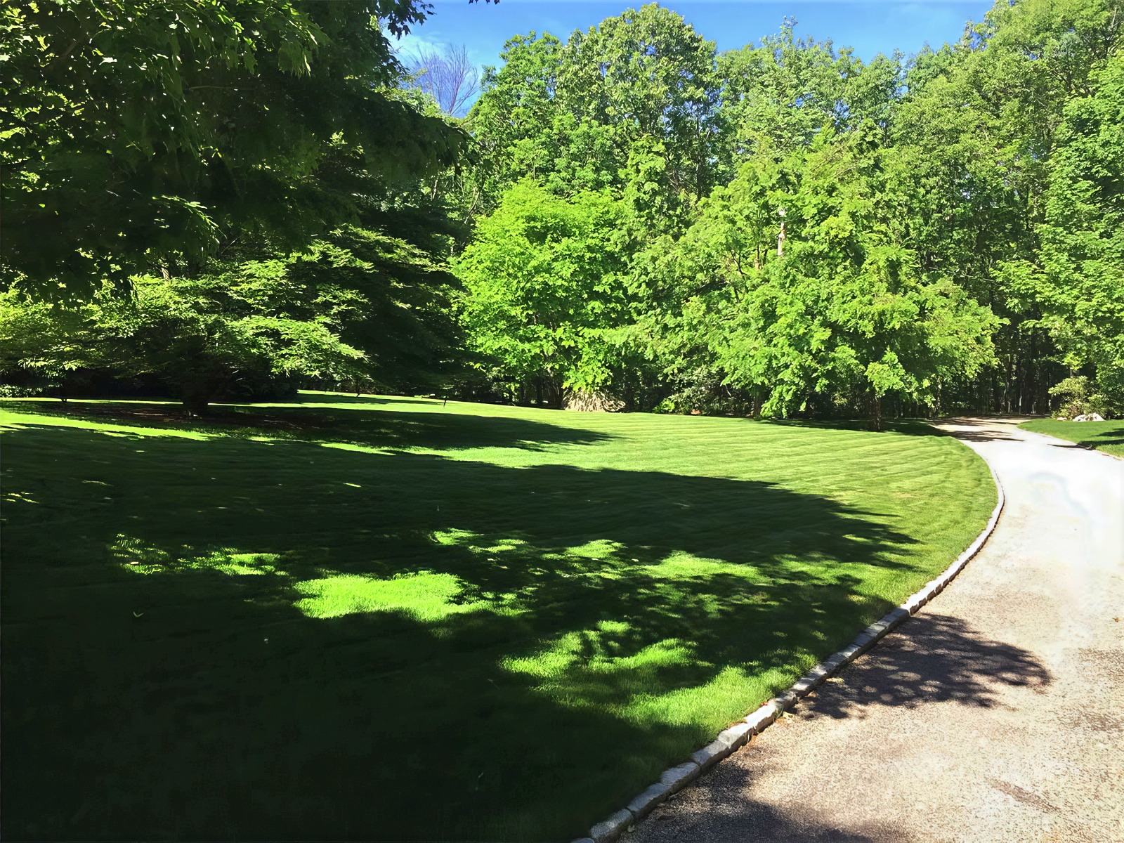 Landscape Maintenance - Cambridge Landscape. - Greater Boston Metroplex - Suffolk County, MA