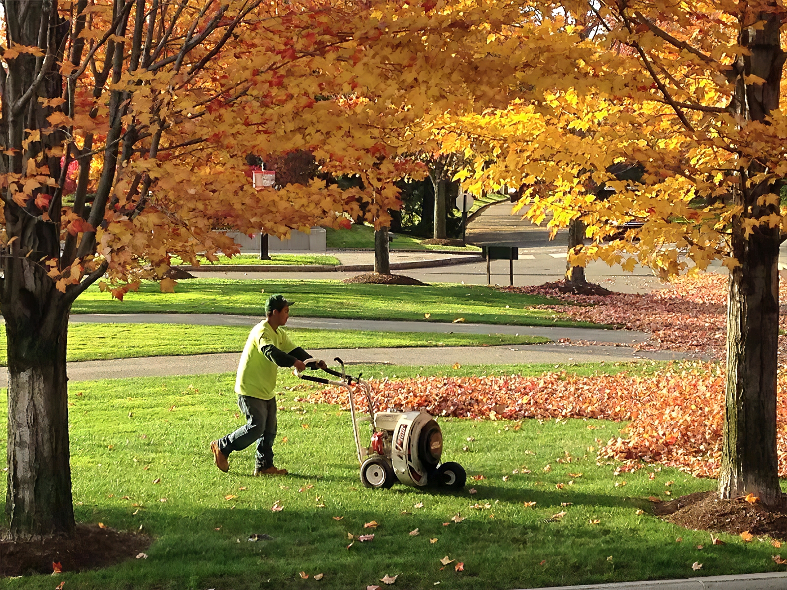 Landscape Maintenance - Cambridge Landscape Co - Serving the Greater Boston Metroplex - Suffolk County, MA