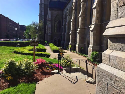 Landscape Maintenance - Cambridge Landscape. - Greater Boston Metroplex - Suffolk County, MA