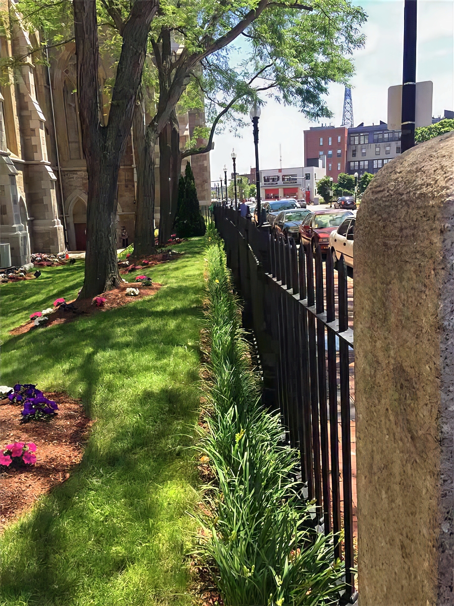 Landscape Maintenance - Cambridge Landscape. - Greater Boston Metroplex - Suffolk County, MA