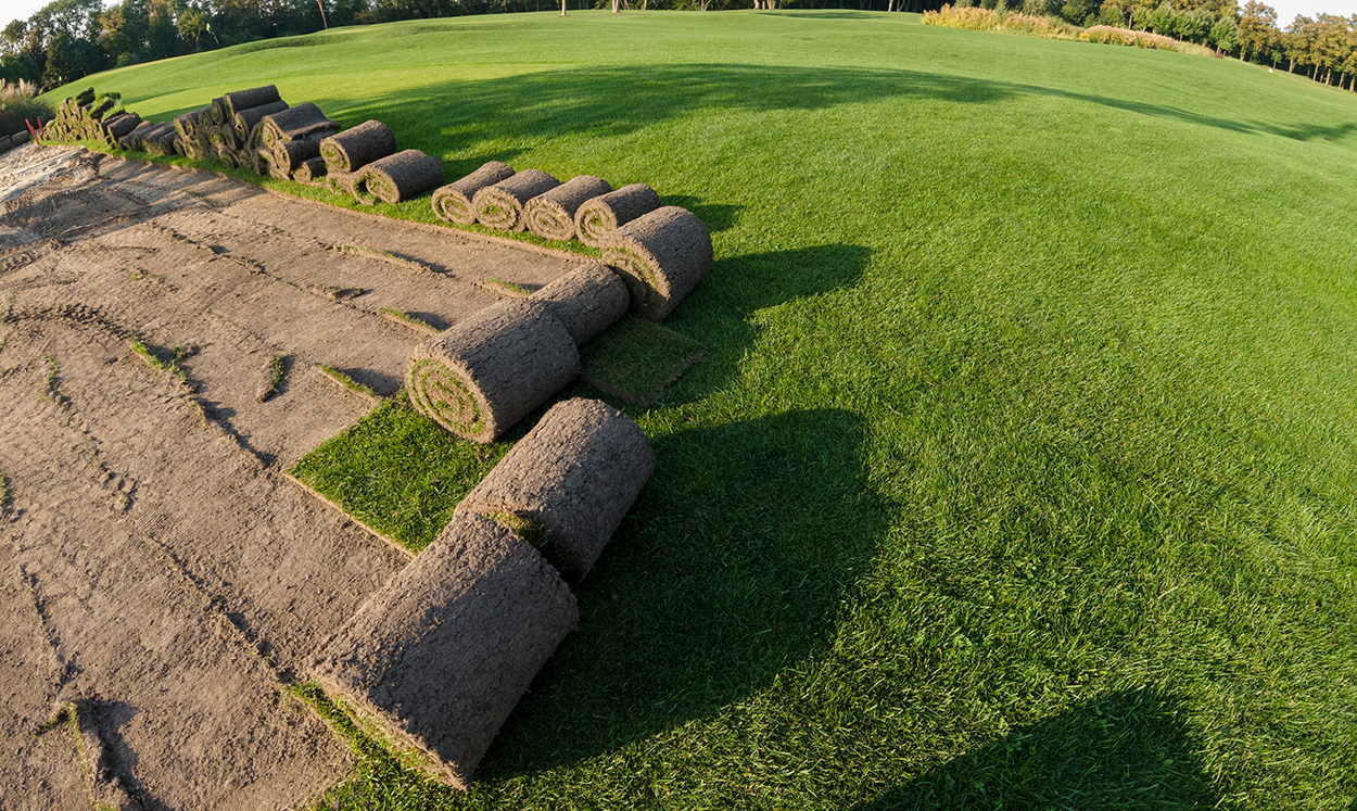 Landscape Maintenance - Treasure Valley Landscape, Idaho