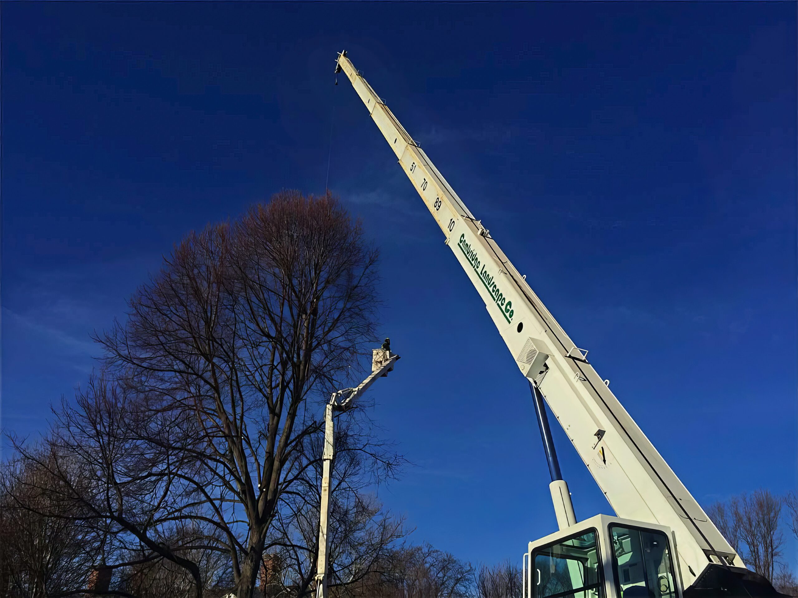 Tree Service - Treasure Valley Landscape