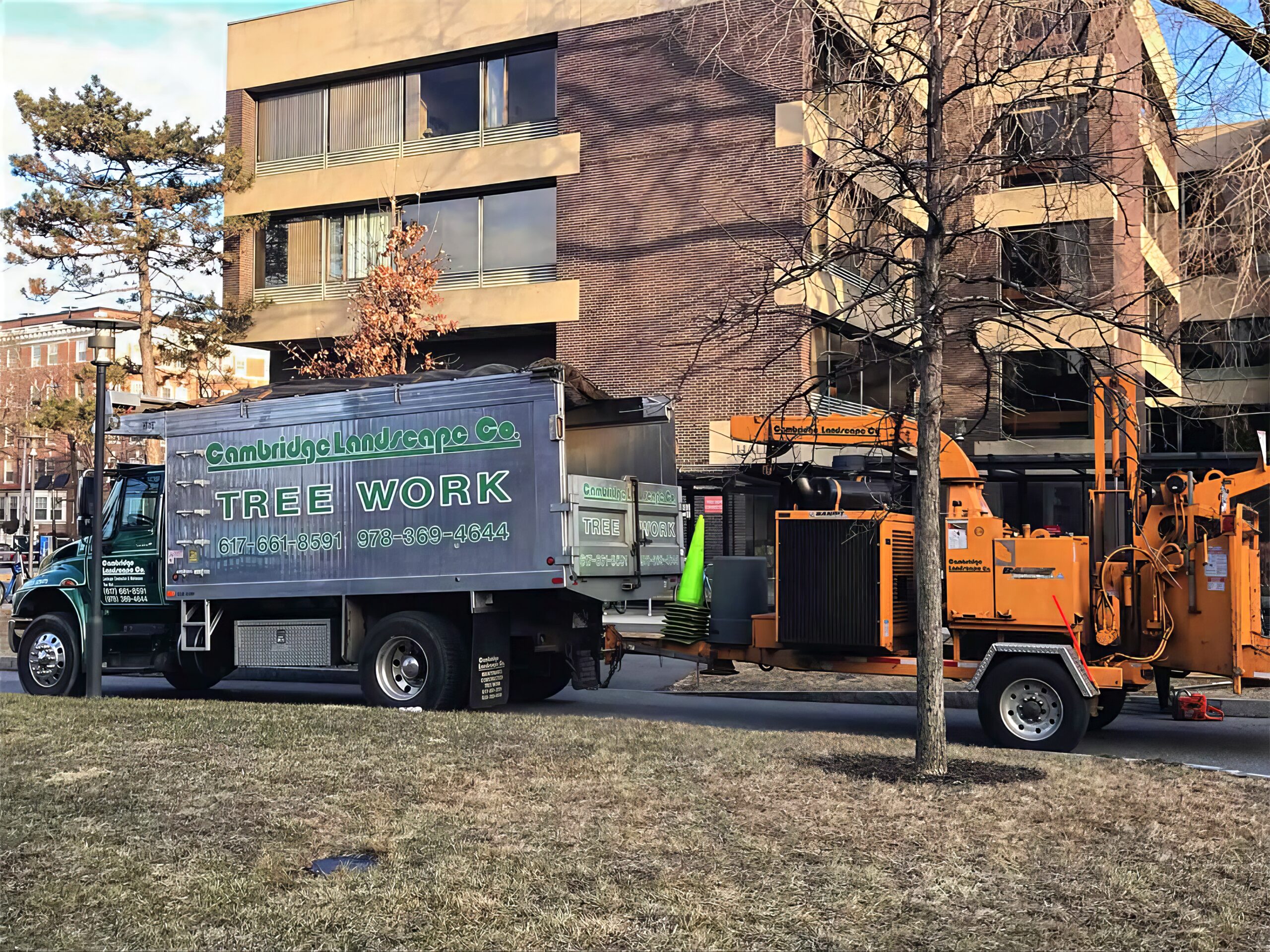 Tree Service - Treasure Valley Landscape