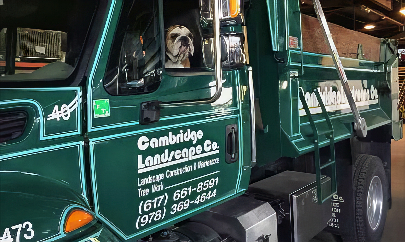 Tree Service - Treasure Valley Landscape